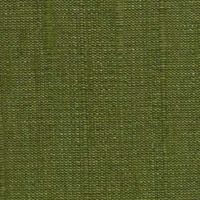 Olive_compressed